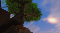 Thumbnail 10