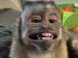 Caffecito