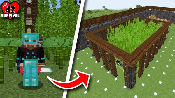 Bamboo Farm