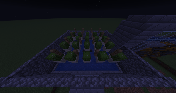 Cactus Farm ( 1 FLOOR )