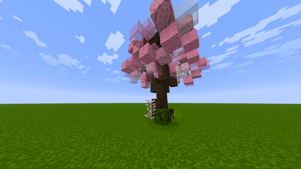 Cherry Blossom 2