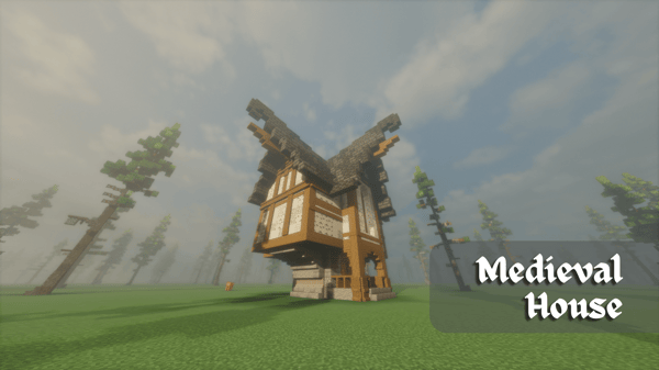 Fantasy Medieval House (decorated interiors)