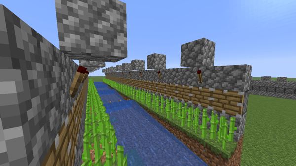 Sugar Cane Farm Without Observers