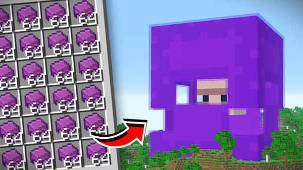 Shulker Farm [Decorated]