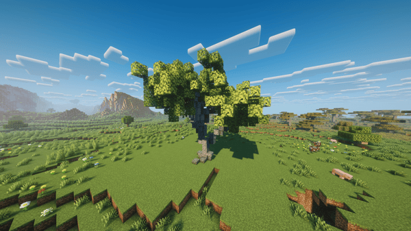 Tree (Tiny)