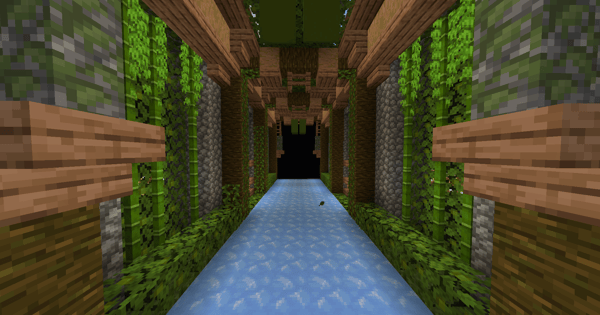 Tunel de Jungla