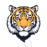 Tigre437