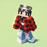 Dasu